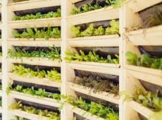 wooden system of vertical urban farming and gardening technology organic vertical kitchen garden with t20 nXgoj4 Could Farming Without Soil Help to Solve Our Food Crisis?